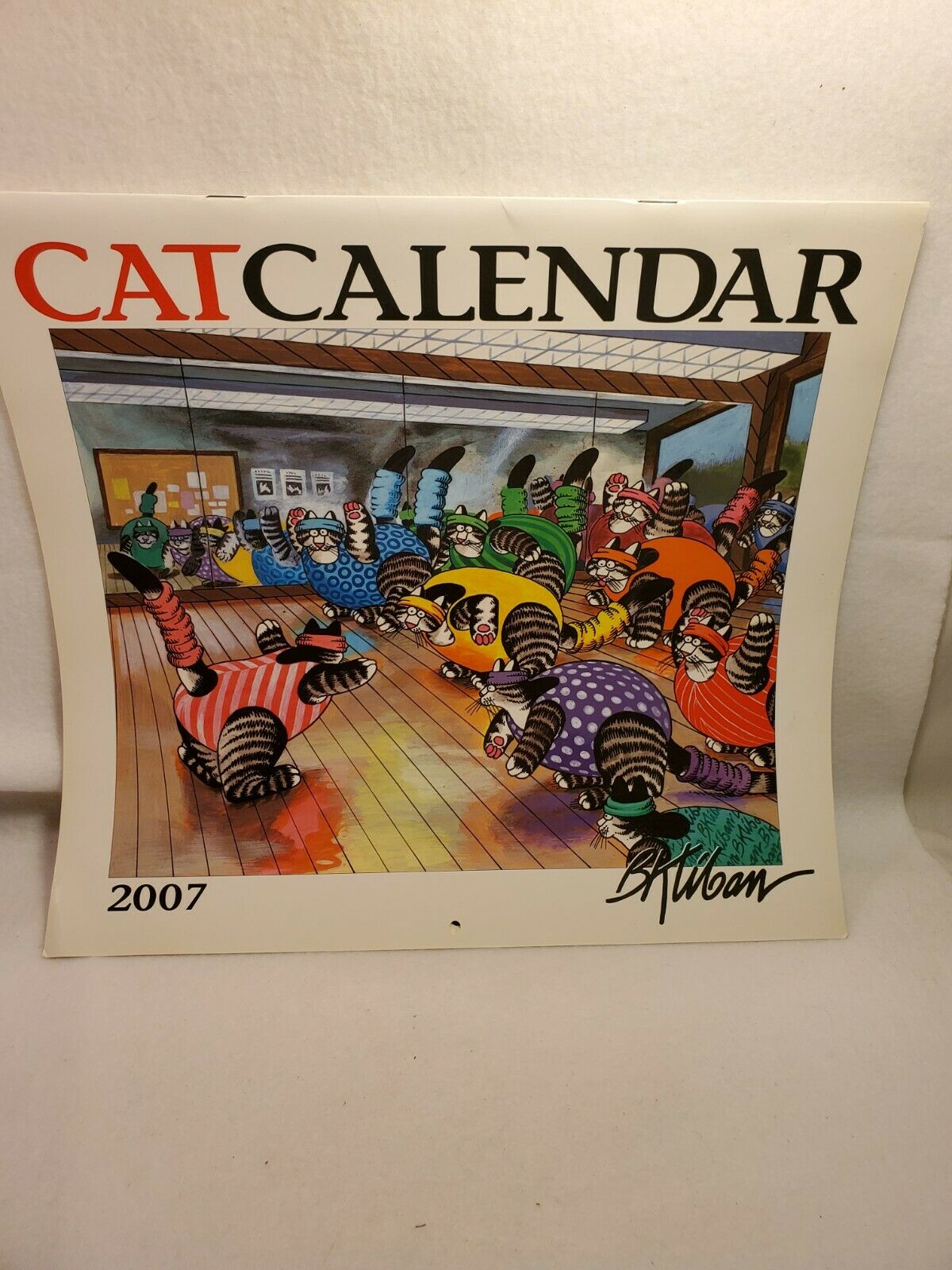 Large Kliban Cat 2007 Wall Calendar 12" X 13" Opens To 24" Long