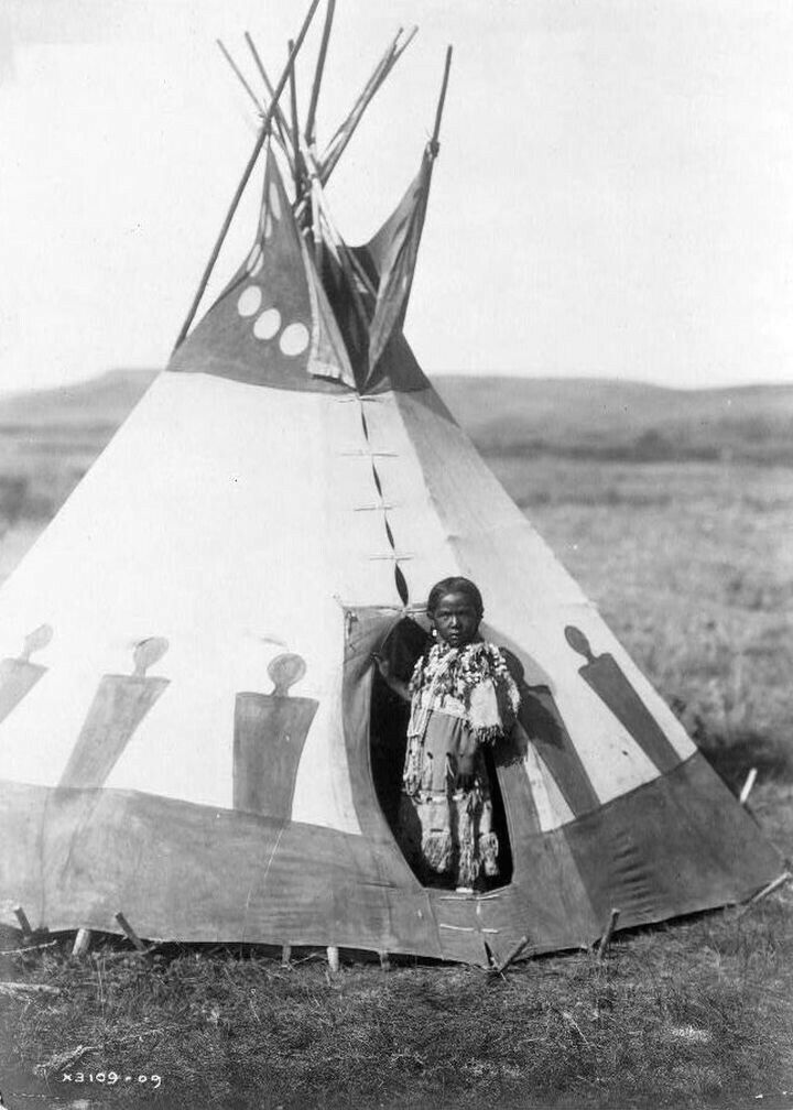 Crow Chief Daughter Photo Tepee Montana 1910 Native American Indian Child Girl