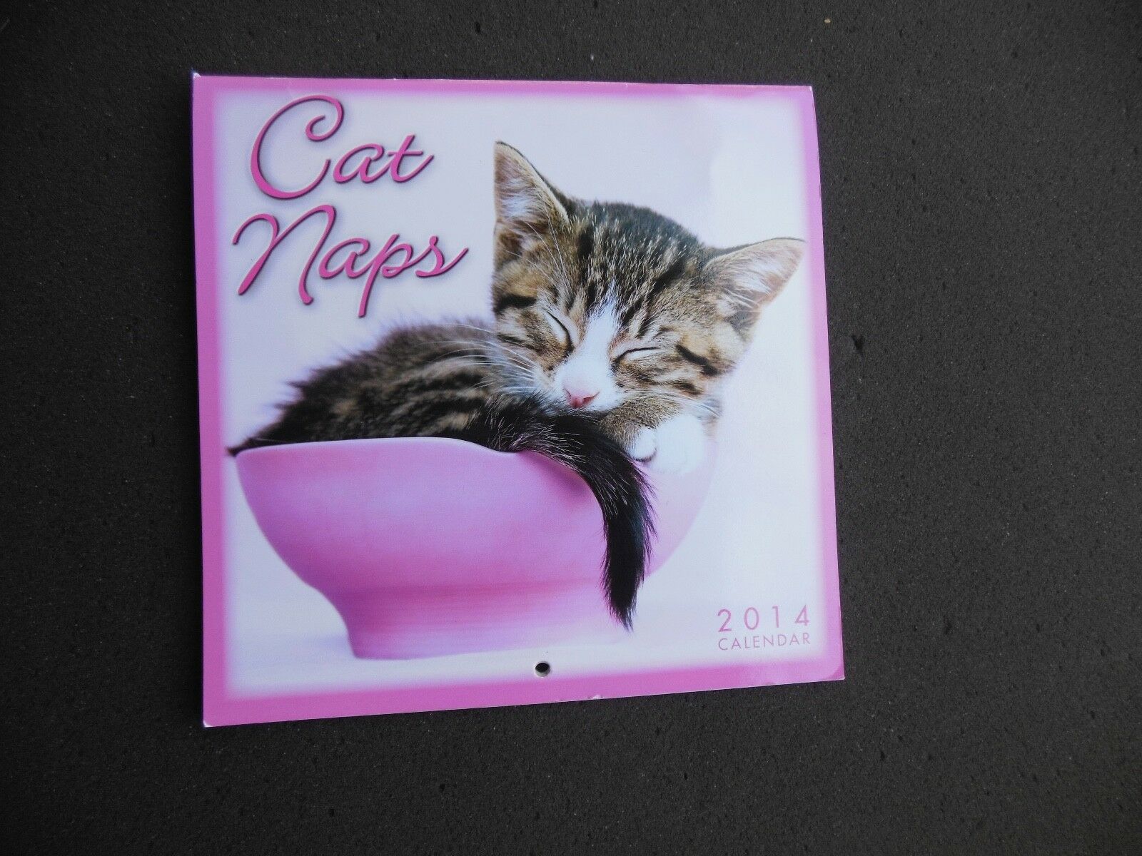 Cat Naps 2014 Calendar