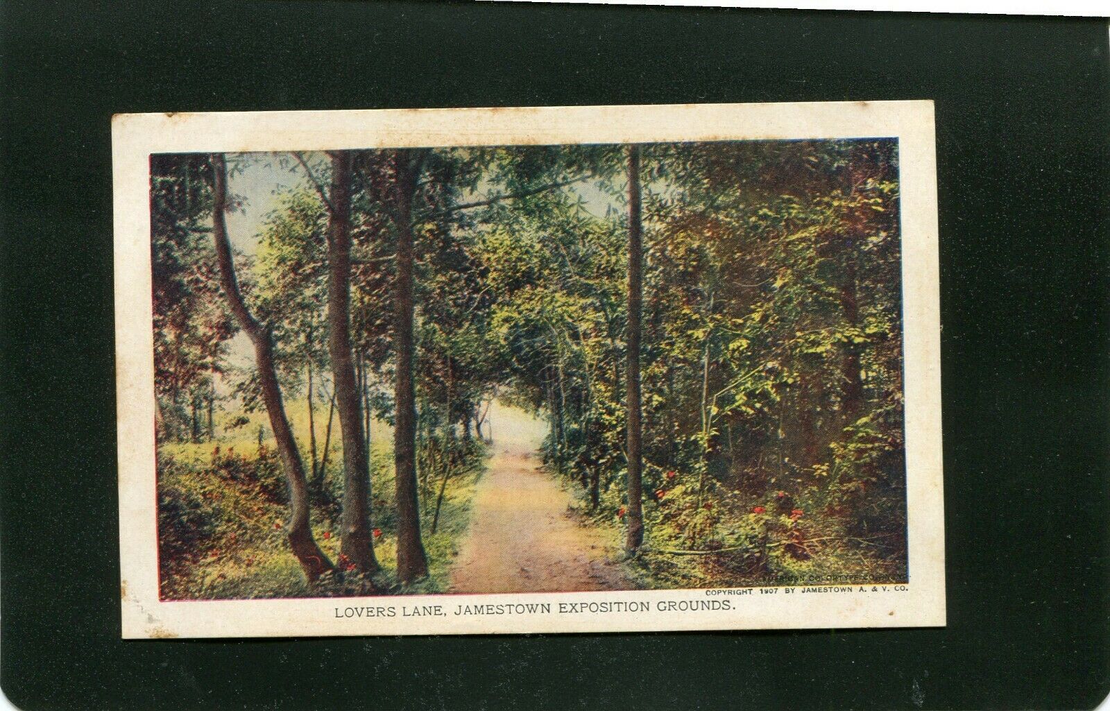 1907 Jamestown Exposition Lover's Lane  Postcard Unused