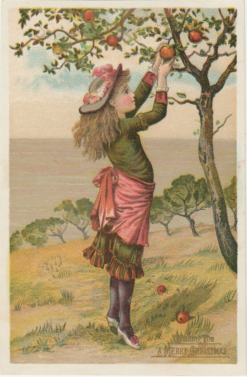 Victorian Christmas Card Girl Picking Apples 4 X 6 Inches