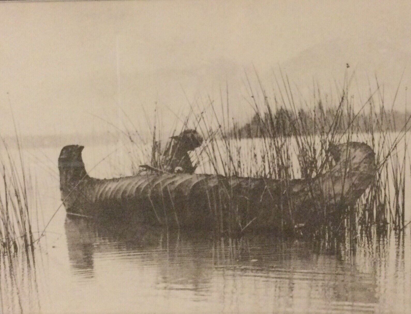 Edward Curtis Reproduction Print "kutenai Duck Hunter” 1910