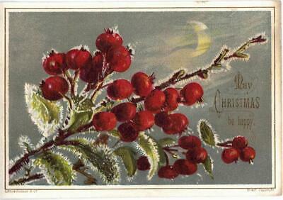 Victorian Christmas Card  Floral Scene    S. Hildesheimer Litho